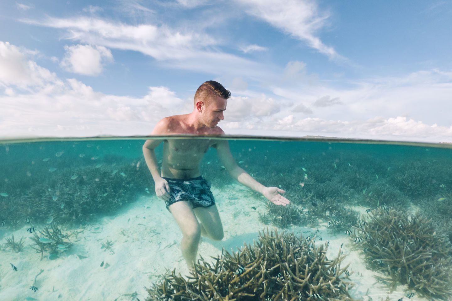 Man admiring corals under water surface. Tourist watching beautiful sea life in Maldives.
