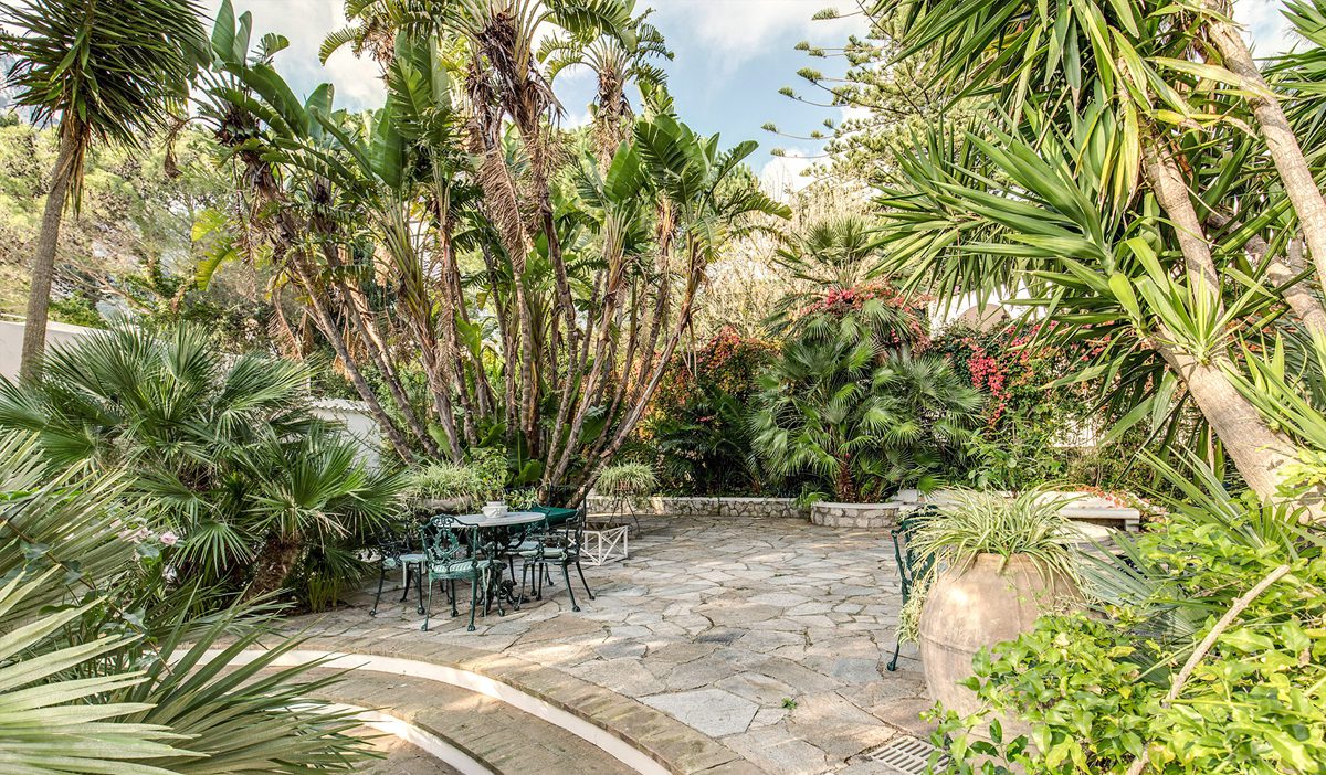 garden